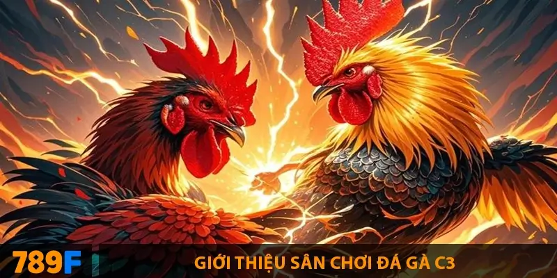 Kinh nghiệm khi tham gia đá gà C3
