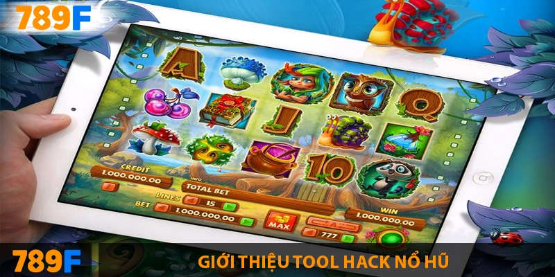 Lời khuyên từ những anh em đi trước