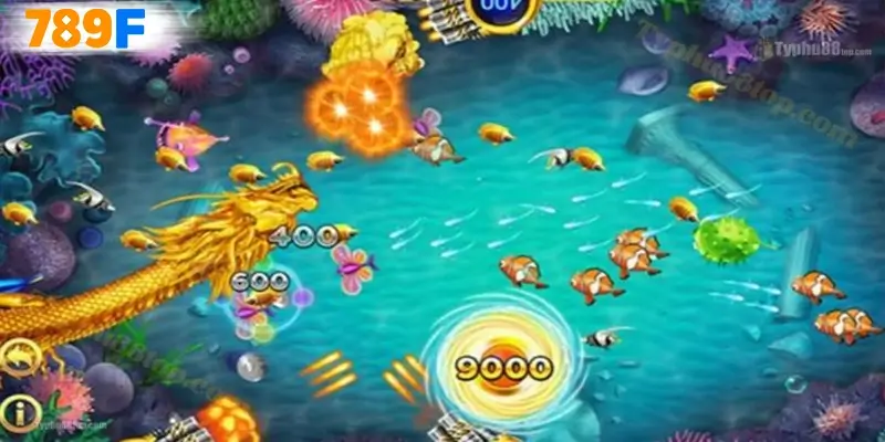 Mẹo chơi bắn cá rồng hiệu quả