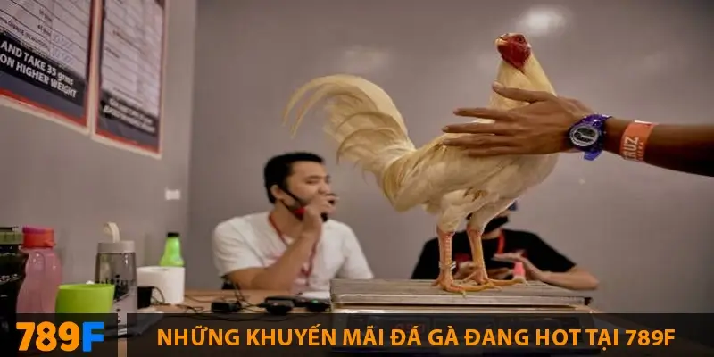 Khuyến Mãi 58K – Tải App Tặng Điểm Trải Nghiệm tại 789F 8 Những khuyến mãi đá gà đang hot tại 789F