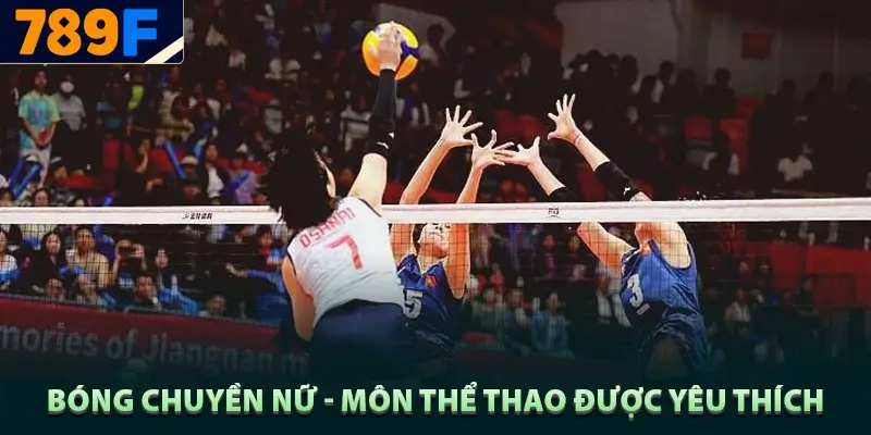 Bóng chuyền nữ - môn thể thao được yêu thích nhất hiện nay