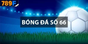 Bóng đá số 66