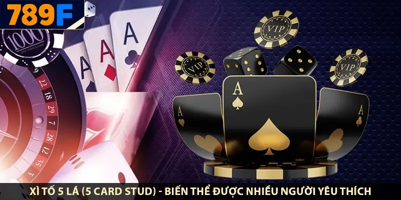 Xì tố 5 lá (5 Card Stud) - biến thể được nhiều người yêu thích