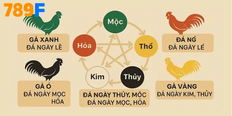 Bảng tham chiếu màu mạng gà đá theo ngũ hành