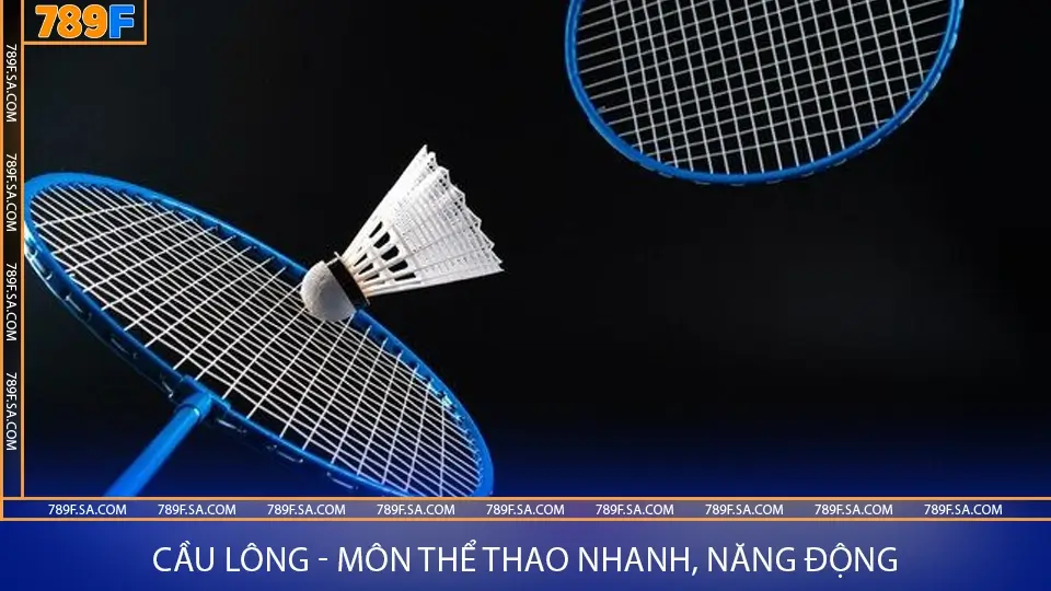 Cầu Lông - Môn Chơi Tăng Cường Sức Khỏe Và Độ Phản Xạ