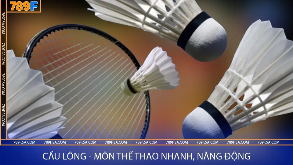 Cầu lông - môn thể thao nhanh, năng động