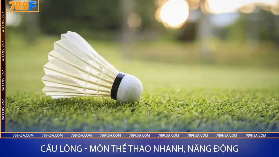 Luyện tập cầu lông đúng cách giúp bạn nâng cao kỹ năng