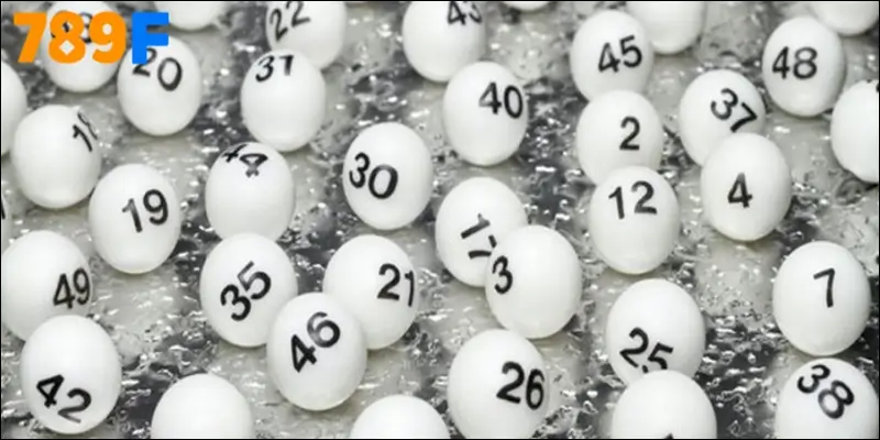 3 Càng Ăn Bao Nhiêu Miền Bắc – Lý Giải Rõ Ràng