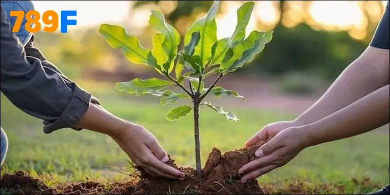 789F - cầu nối giữa tấm lòng hảo tâm và những mảnh đời khó khăn