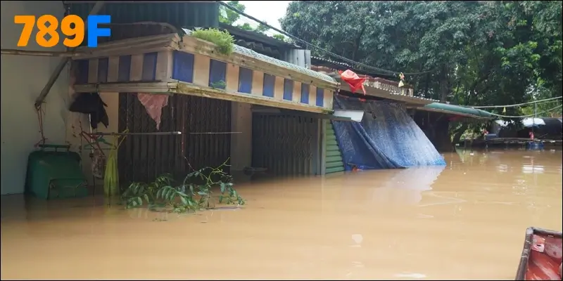 789F triển khai chương trình quyên góp tài chính và hiện vật