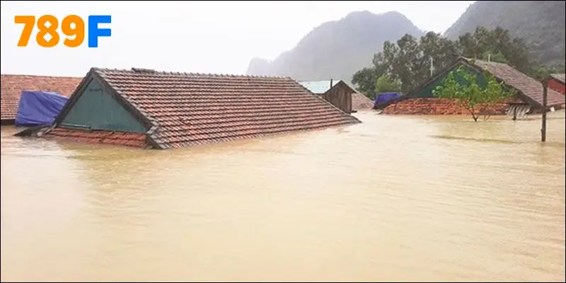 789F ủng hộ đồng bào miền Trung - Lan tỏa yêu thương