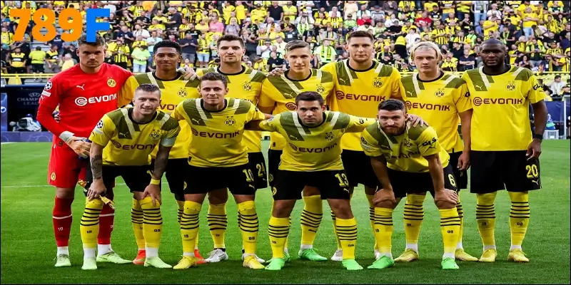Câu lạc bộ Bóng đá Borussia Dortmund