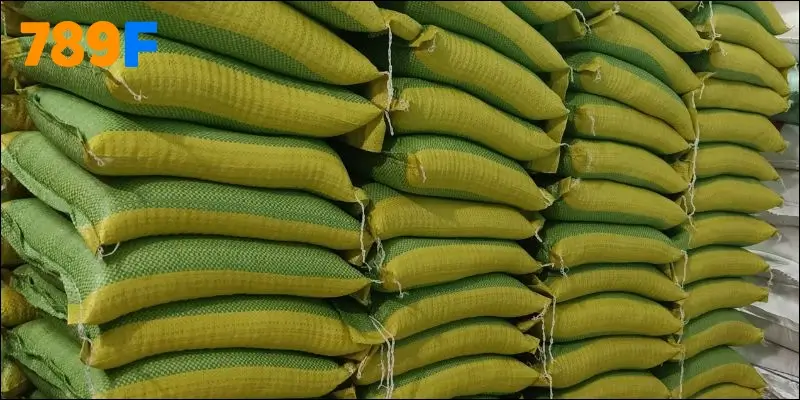 Chương trình phát gạo triển khai rộng rãi tại nhiều địa phương