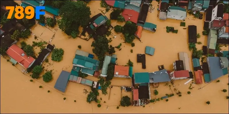 Hoạt động quyên góp của 789F mang lại nhiều giá trị