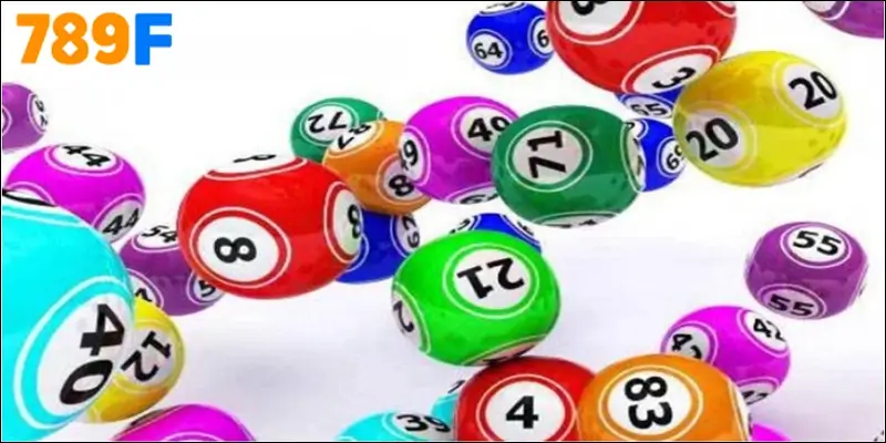 Hướng Đi Dành Cho Người Mới Khi Bước Chân Vào Thế Giới Bao Lô