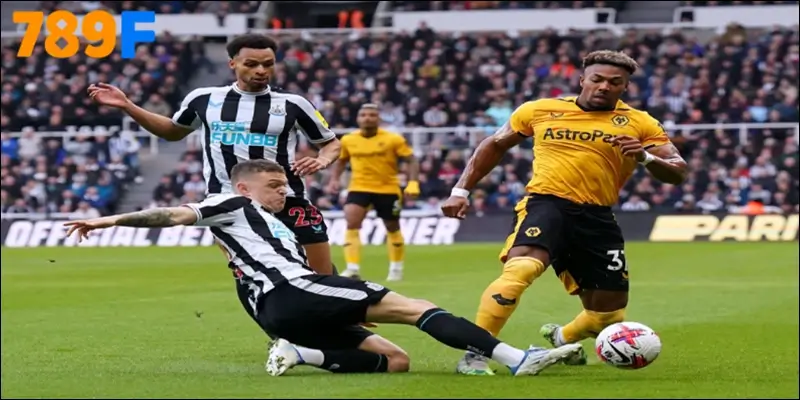 Lịch sử đối đầu – Cán cân nghiêng về Newcastle