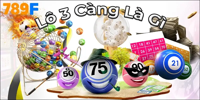 Lô 3 Càng Là Gì? Con Số Nhỏ, Phần Thưởng Lớn Bất Ngờ