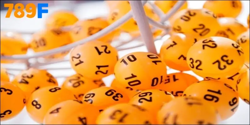 Nhà Cái 789F – Điểm Tựa Cho Những Giấc Mơ 3 Càng