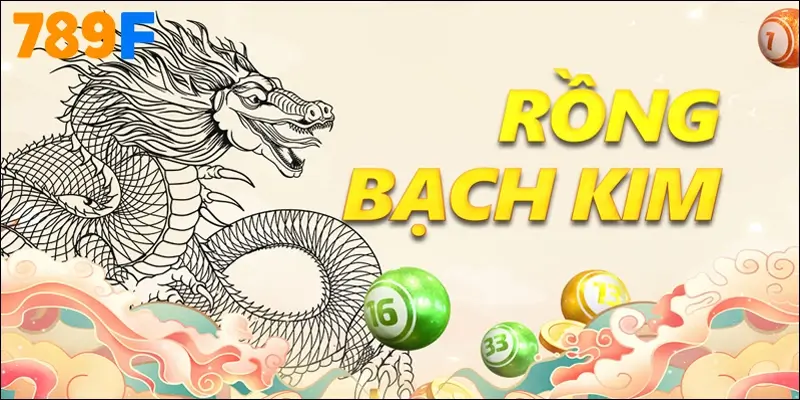 Rồng Bạch Kim – La Bàn Soi Cầu Của Người Yêu Con Số