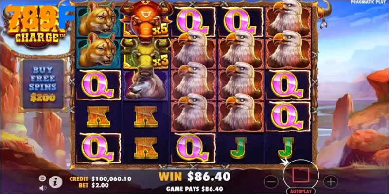 Sai lầm thường gặp khi tham gia Bison Charge