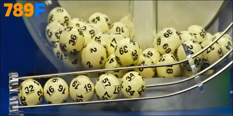 Sự Thật 3 Càng Là Gì – Liệu Có Phải Cánh Cửa Đổi Đời?