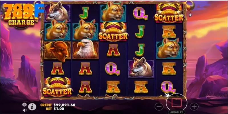 Trải nghiệm thực tế từ cộng đồng game thủ