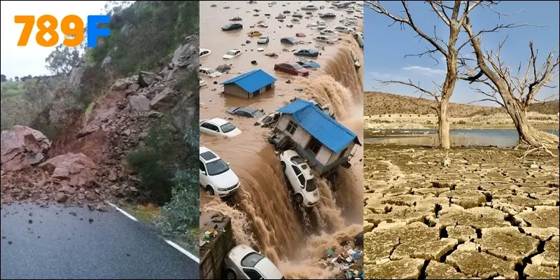 Việt Nam hằng năm phải hứng chịu nhiều loại thiên tai khốc liệt