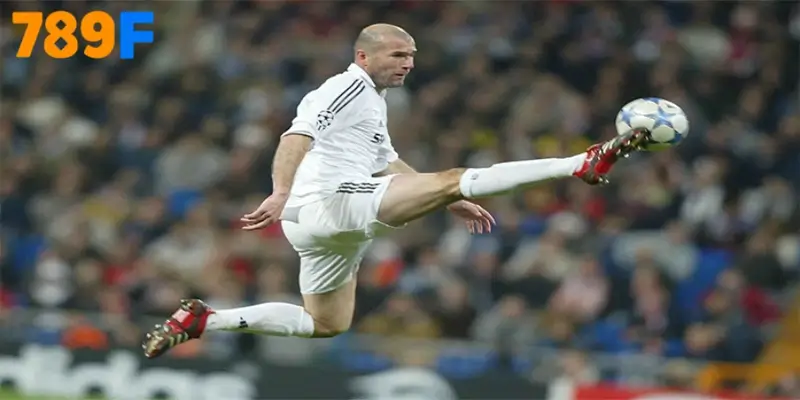 Zidane là niềm tự hào vĩ đại của nước Pháp