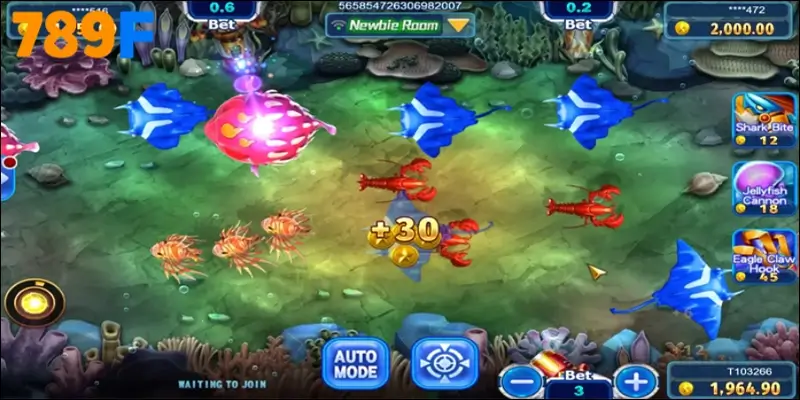 Bước vào hành trình chinh phục biển cả cùng All-Star Fishing