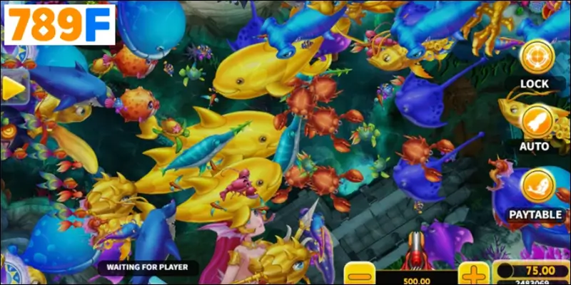 Pirates Fishing biến mỗi chiến thắng thành kho báu cảm xúc